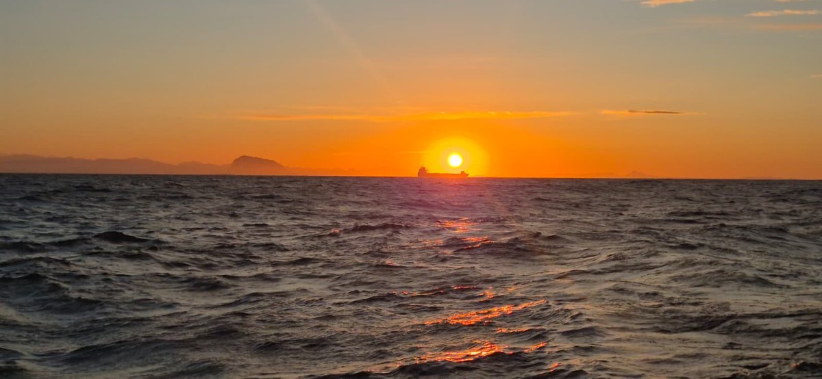 Multiclass Regatta in the Mediterranean