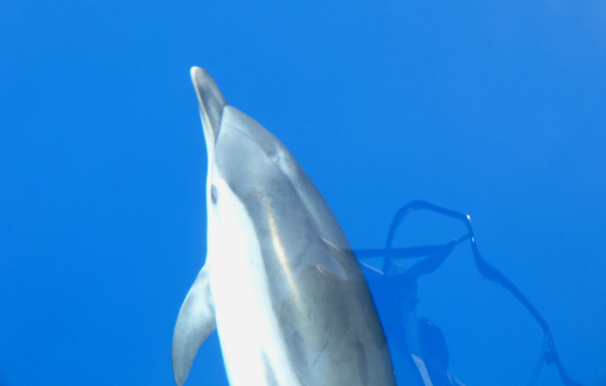 Naviga nel Mar Ionio su un veliero