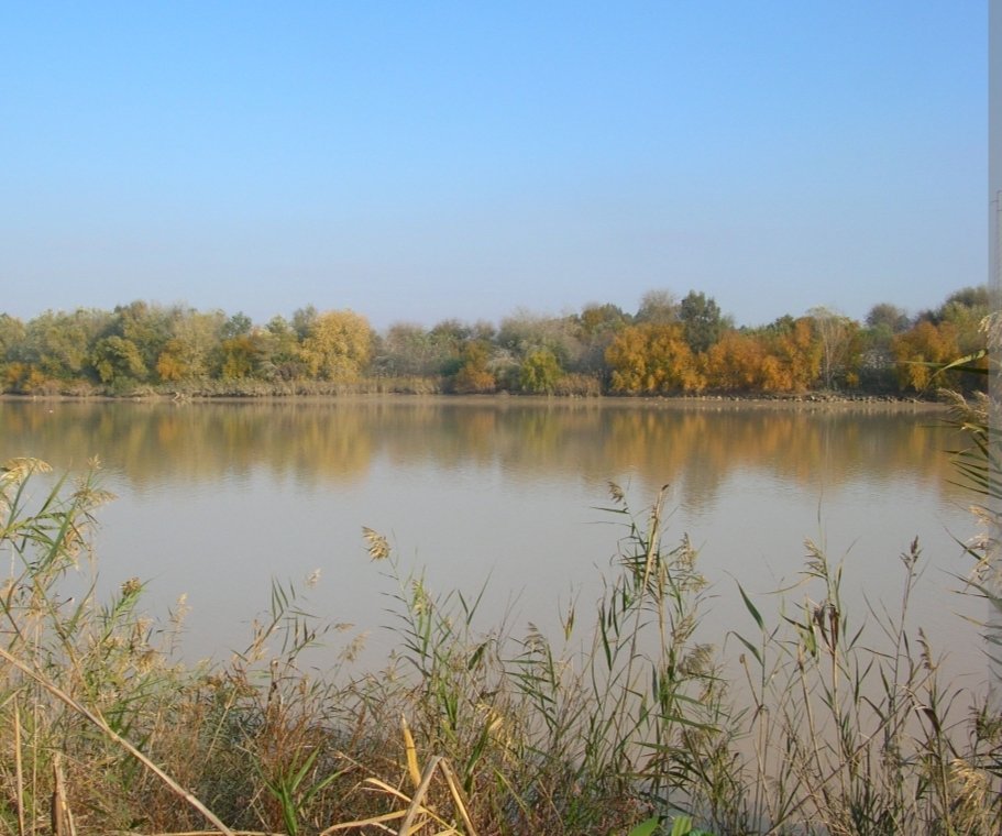 Segeln Sie den Guadalquivir und genießen Sie die Aussicht