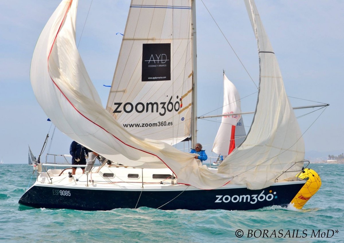 Participate in regattas on the Costa del Sol