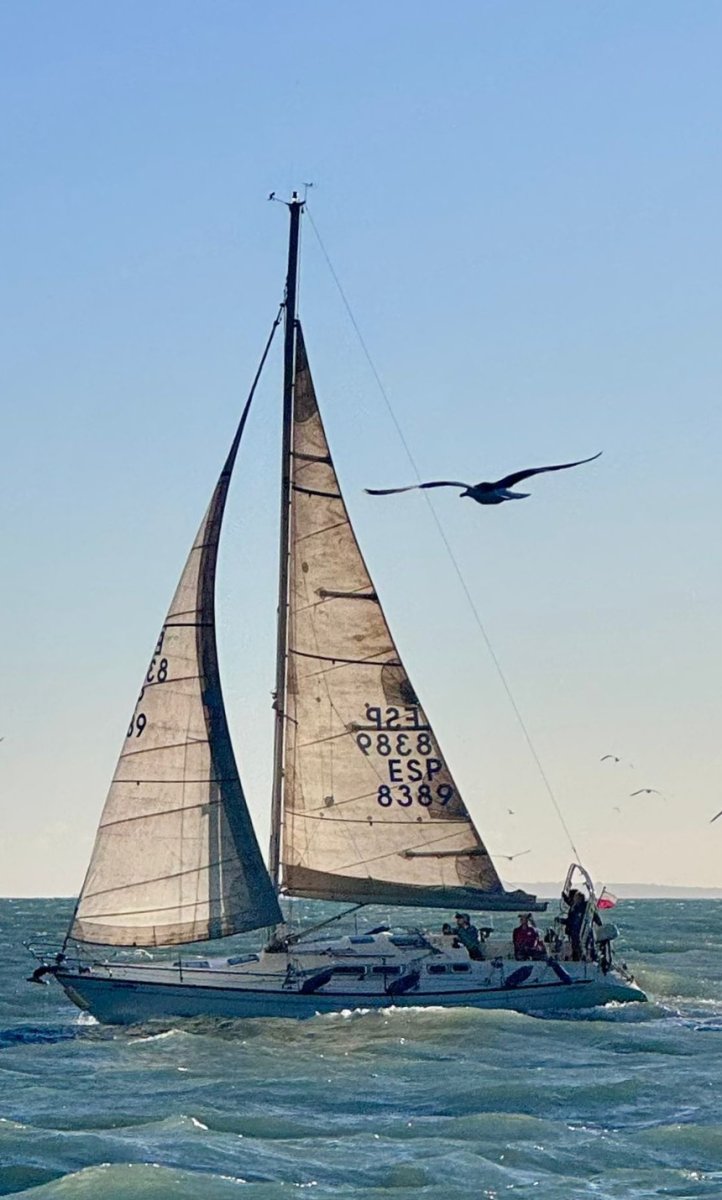 Velero - Dehler - 11.8 metros