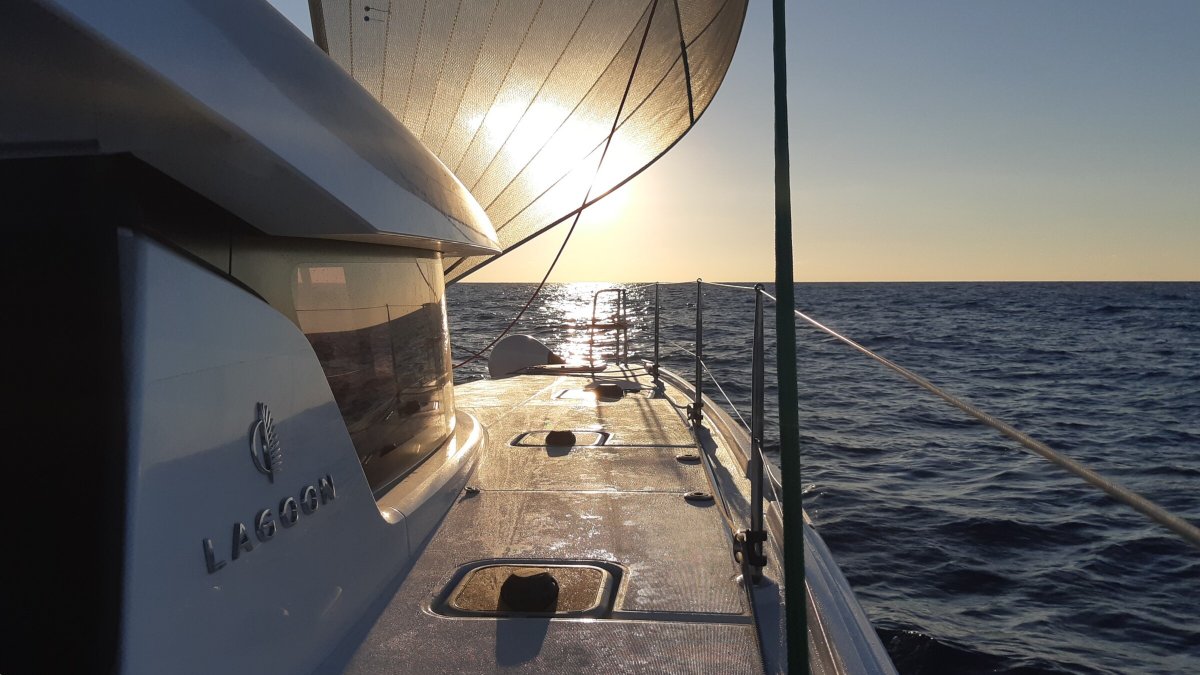 Viaggio di Pasqua - 8 giorni sulla rotta dei delfini!