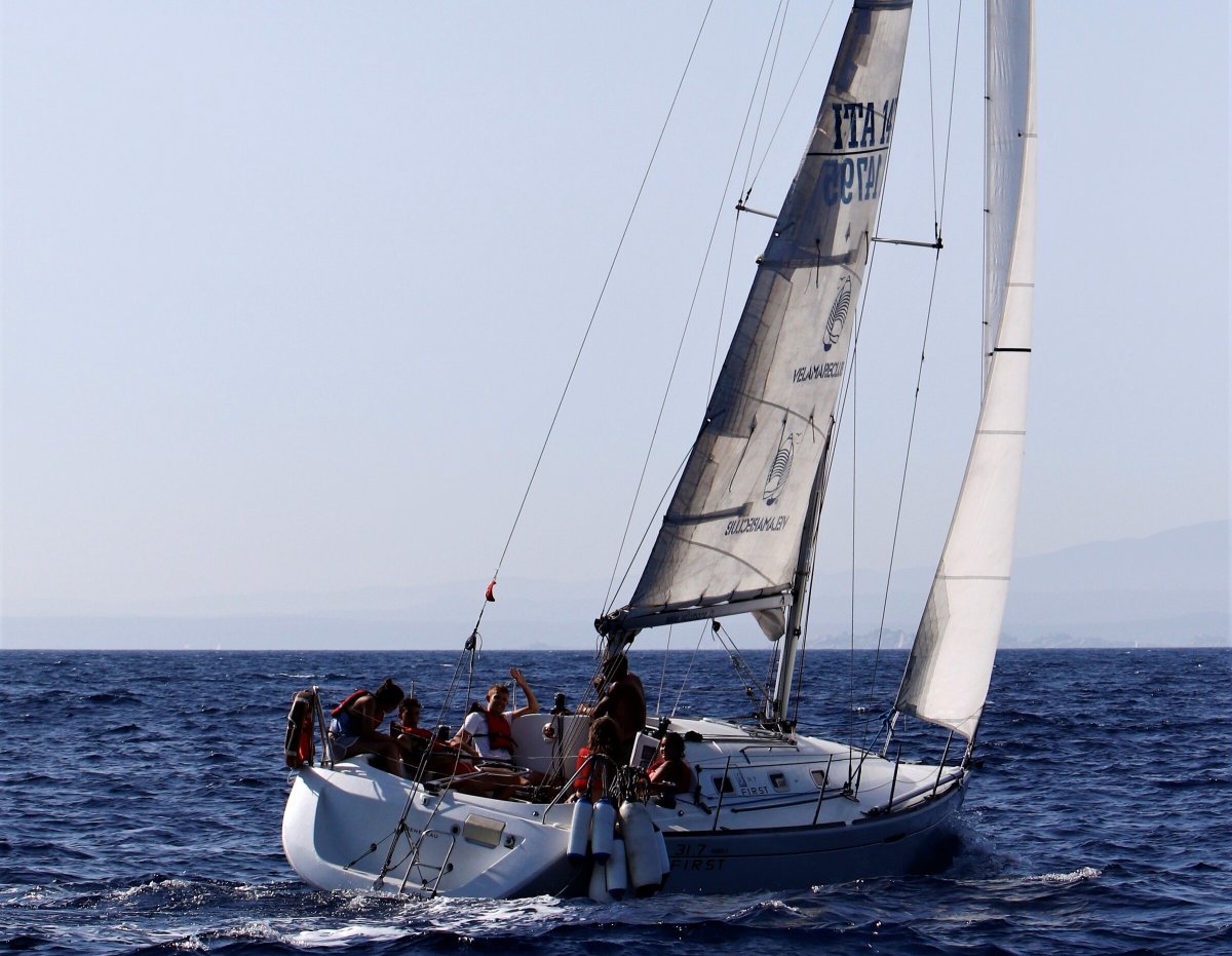 Velero - Bénéteau - 9.5 metros