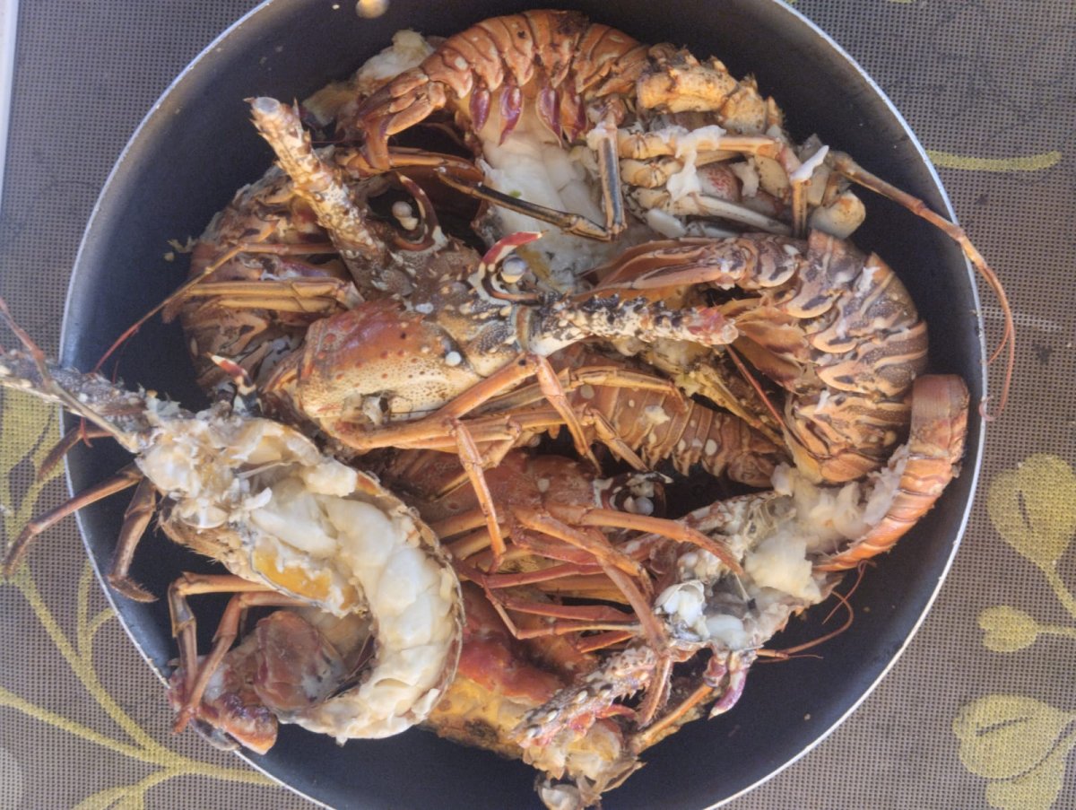 A unique nautical excursion to the San Blas islands from a luxurious catamaran