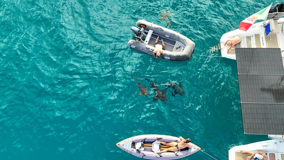 Excursión en yate por el mar Caribe