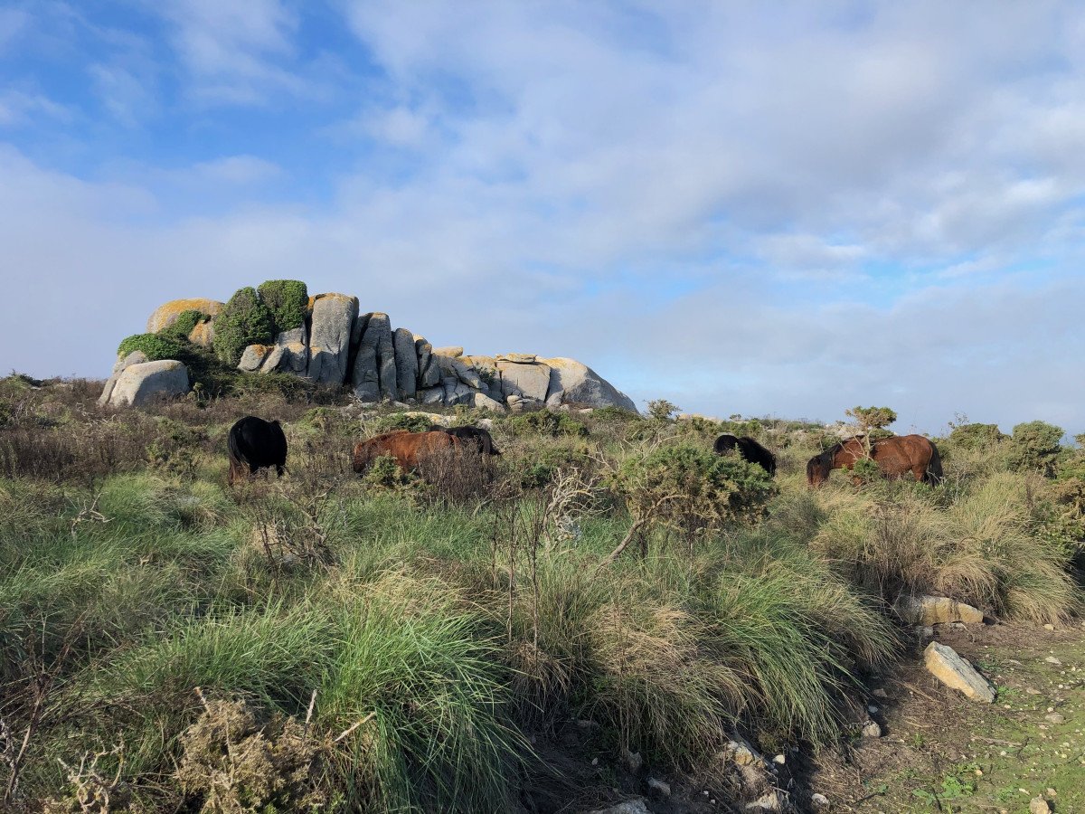 Paisaje natural de Sálvora desde el velero