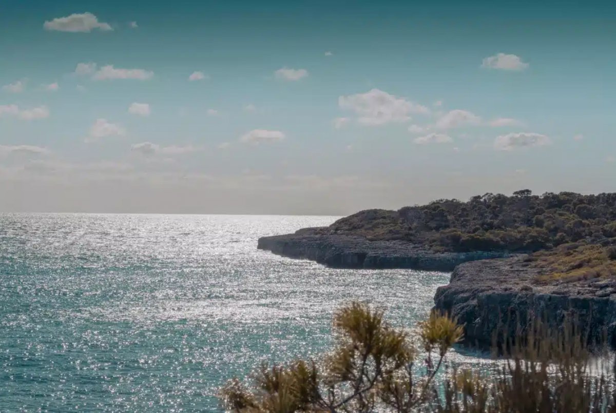 Segelkurs für Anfänger entlang der Küste Mallorcas
