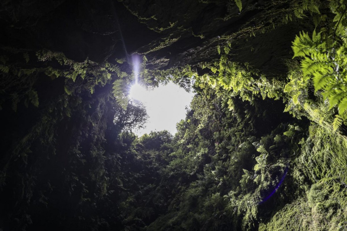 6db1d12e-c1ab-4264-9b0c-f3bee0f72a04