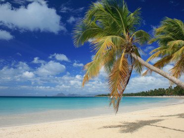 North Atlantic crossing in a single cabin