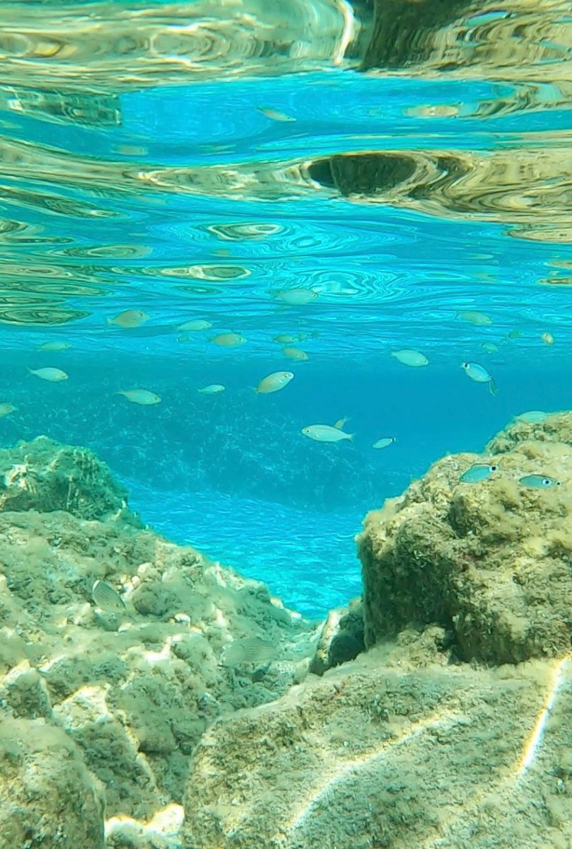 Explora las aguas azules del Jónico