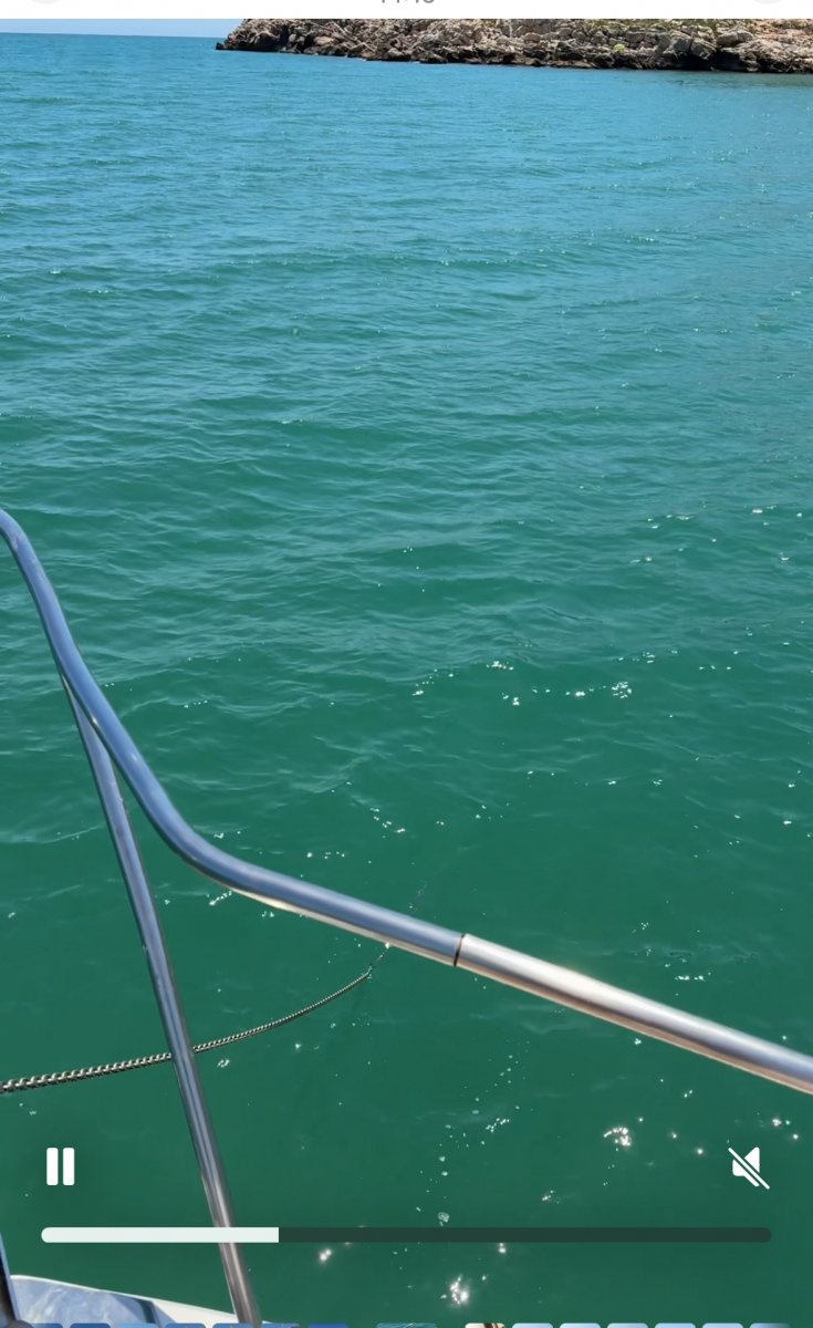 Viaje en barco por el puerto de Valencia