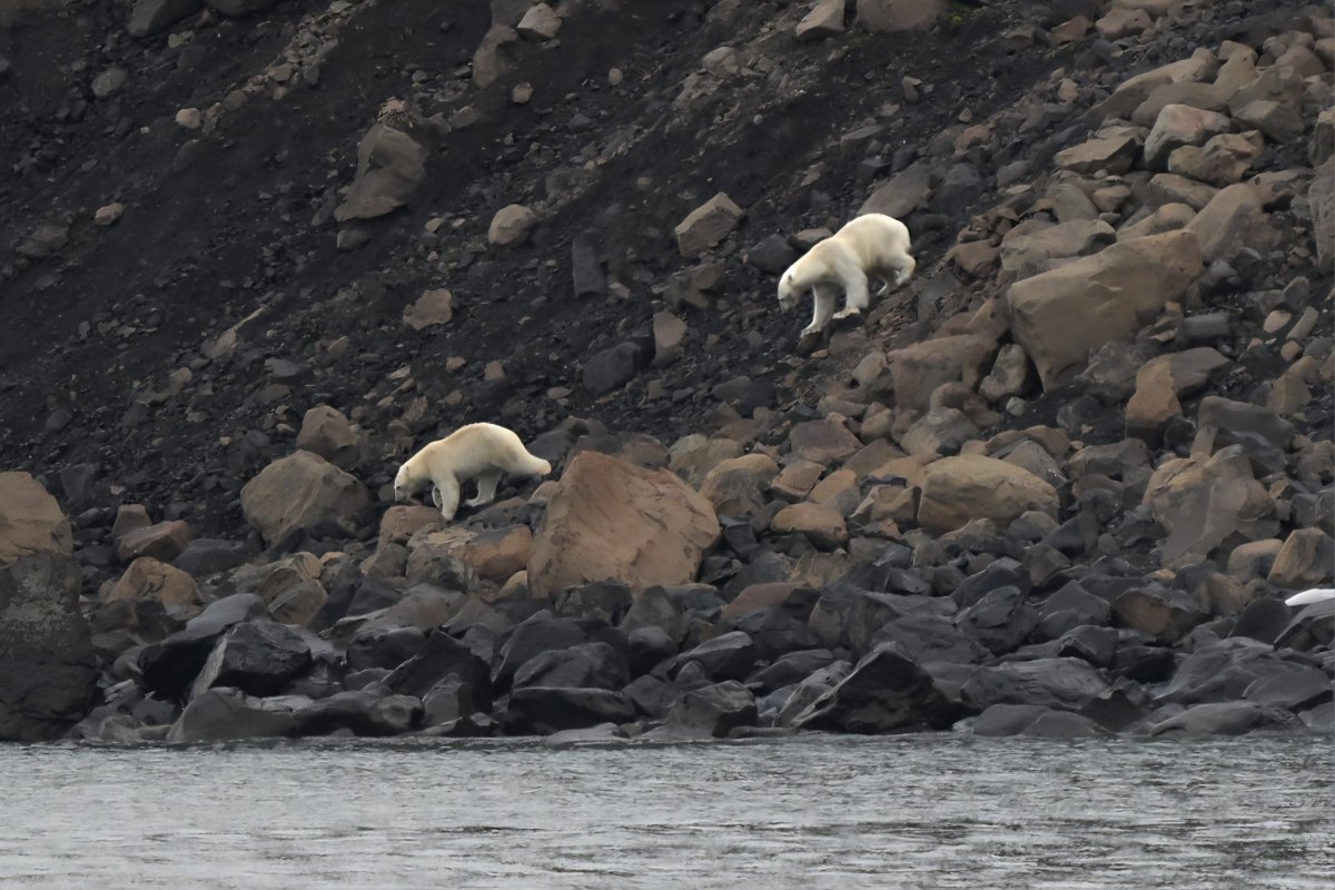 Cruise ship journey from Iceland to Greenland