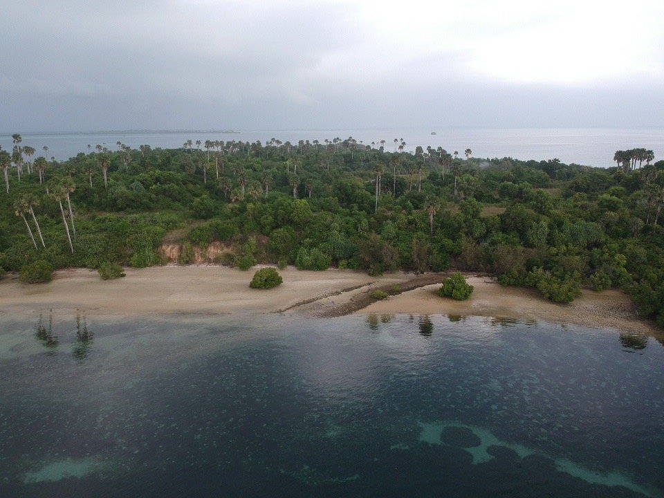 Navigation Course Under the Tropical Sun