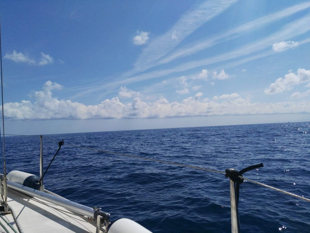 Corsi di Vela nella Marina di Valencia