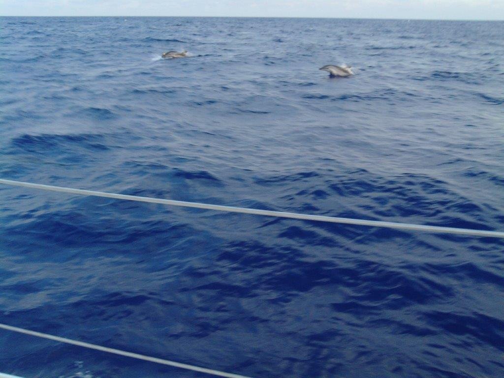 Navegando en las islas Pitiusas