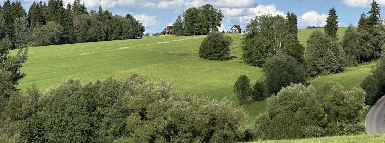 IMG_7111