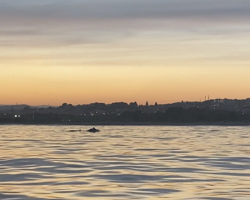 Atardecer con Mojito