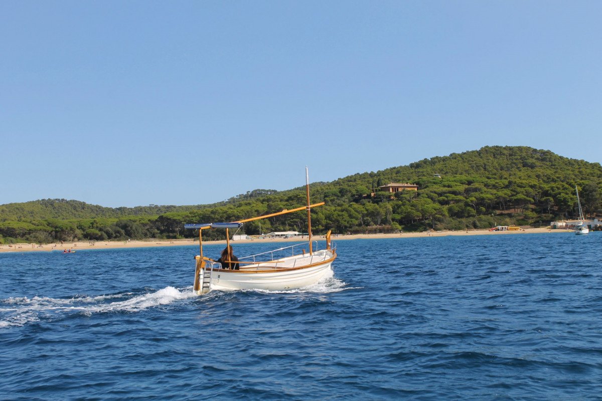 642a721a1fdf09.78200871