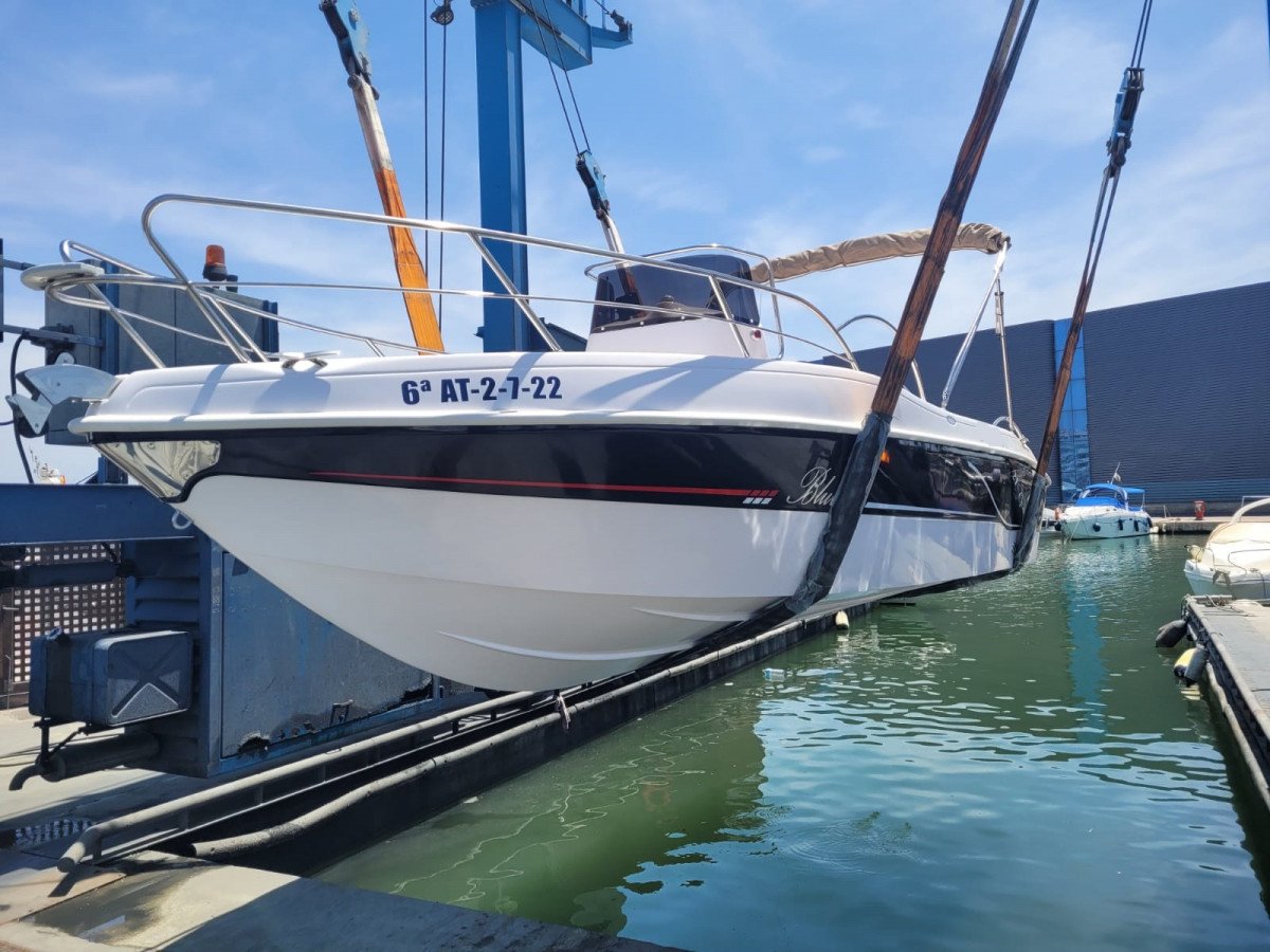 Blu-martin---10-personas