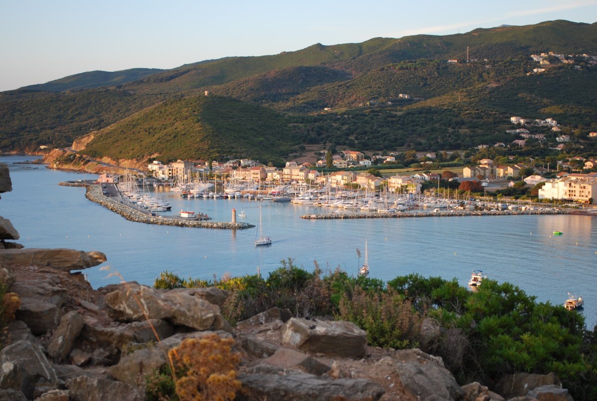 Discover the wonders of the sea on a cruise