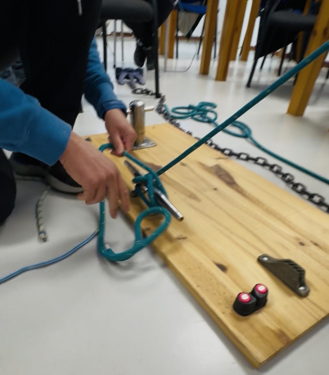 Whale and Dolphin Watching Boat Tour