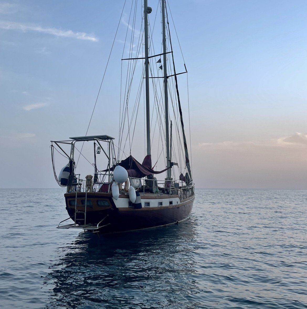 Elvstrom---Endurance