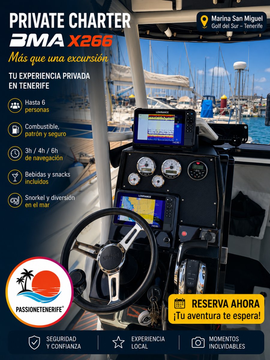 Bootsausflug nach Teneriffa – Tauchen Sie in das Abenteuer ein! ☀️