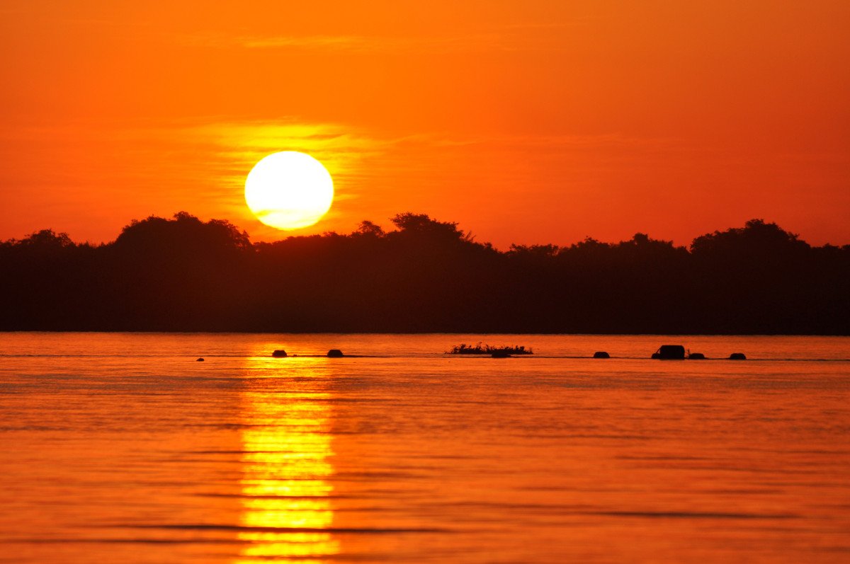 Viajes en barco por la selva en Paraguay