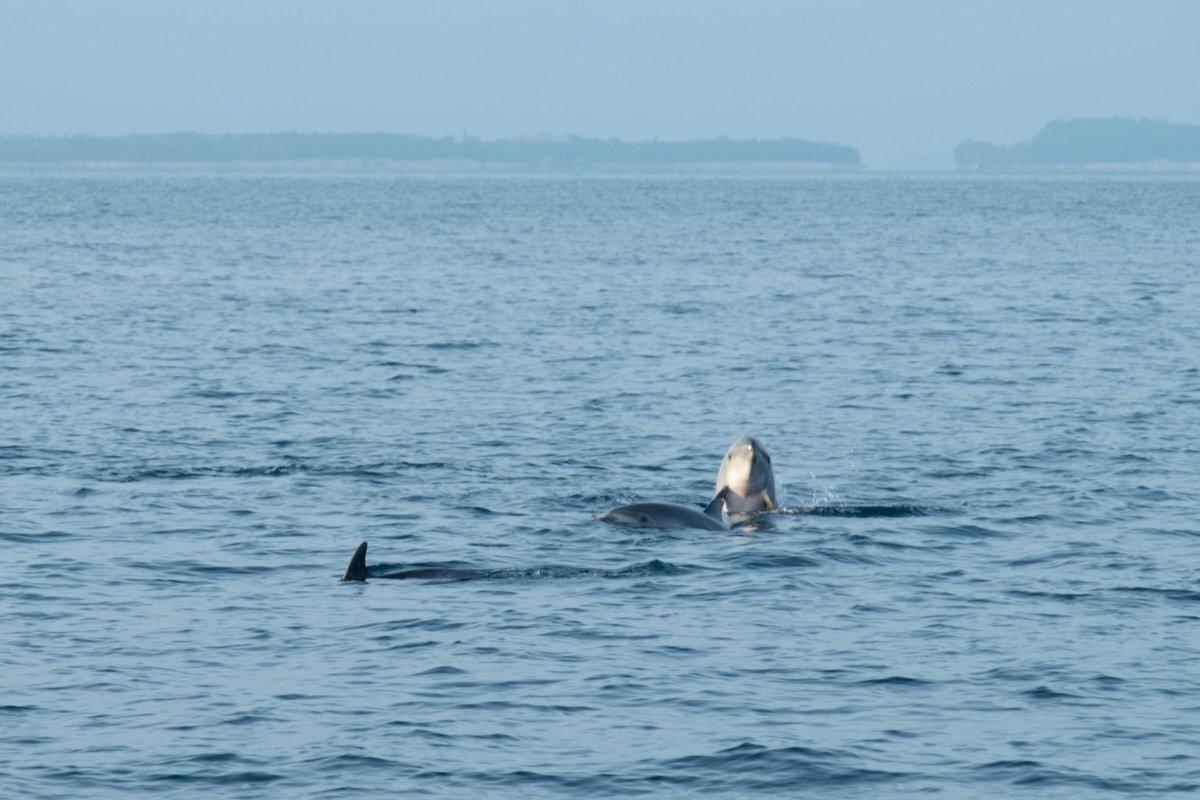 Segeln Sie eine Woche lang im Mittelmeer