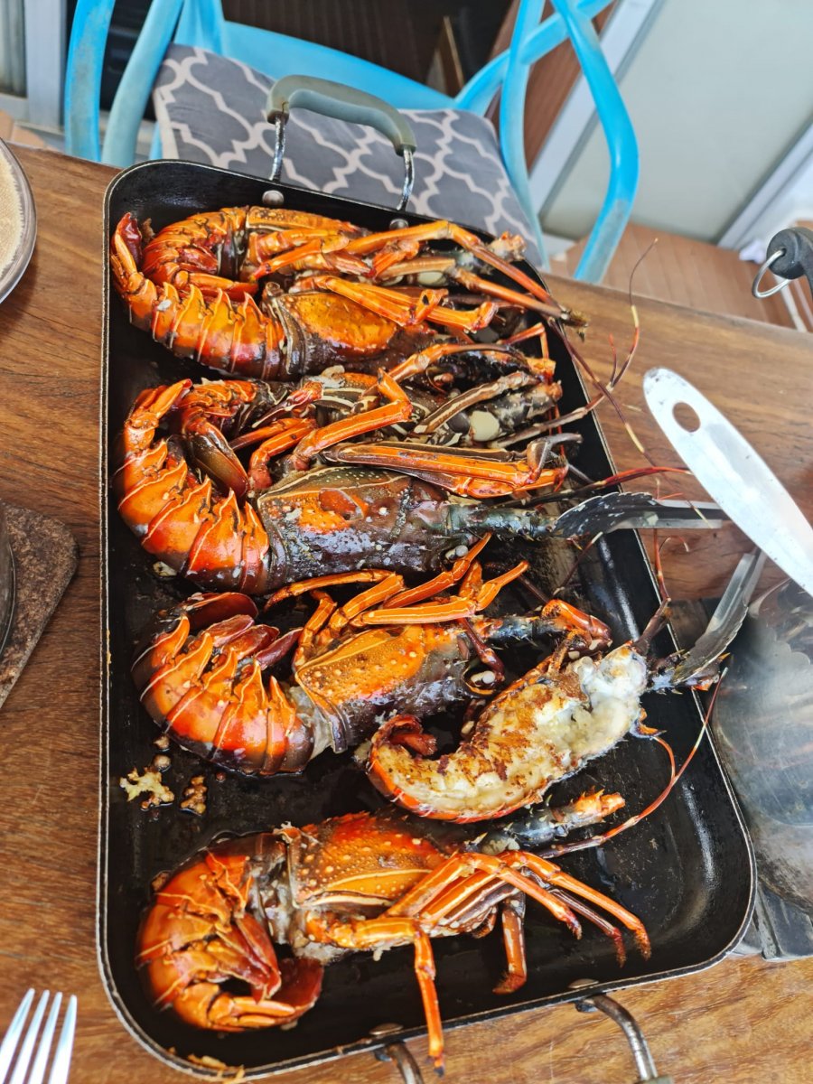 Una jornada de paz y belleza en el mar: San Blas en catamarán