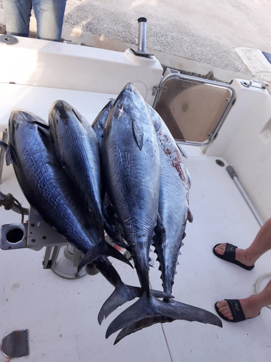 Cruise on a sailboat in La Manga