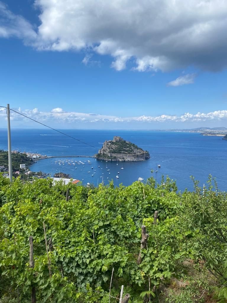 Vacanza attiva in barca a Ischia: tra vela, trekking e panorami incredibili
