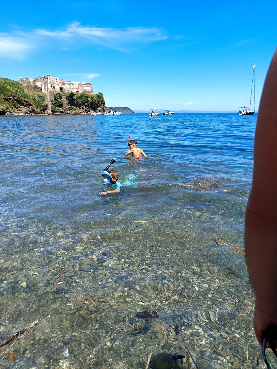 Giro in barca di un giorno a Elba da Corsica