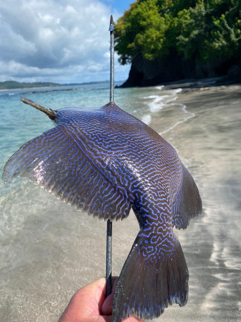 Discover the San Blas Islands on a Luxury Catamaran