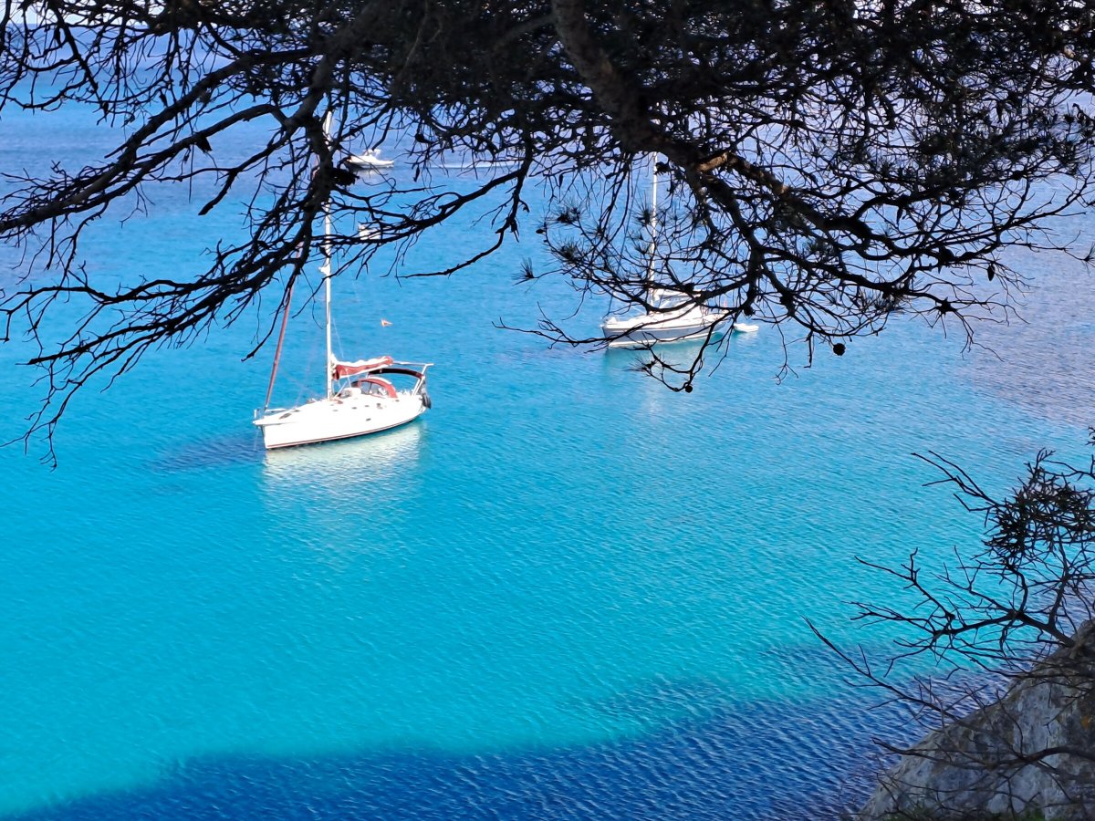 Barca a vela - Dufour Yachts - 2 bagni