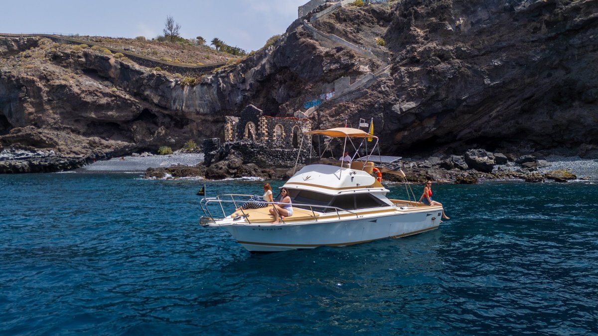 Aventúrate en un viaje náutico para ver a las ballenas y delfines