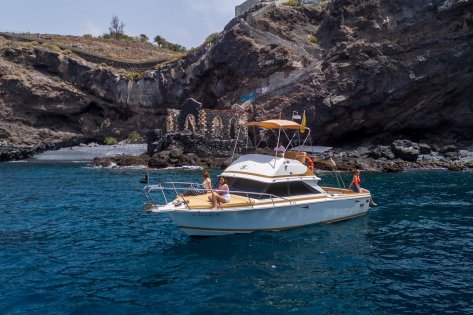 Excursión de Avistamiento de Cetáceos 3h, Tenerife Sur