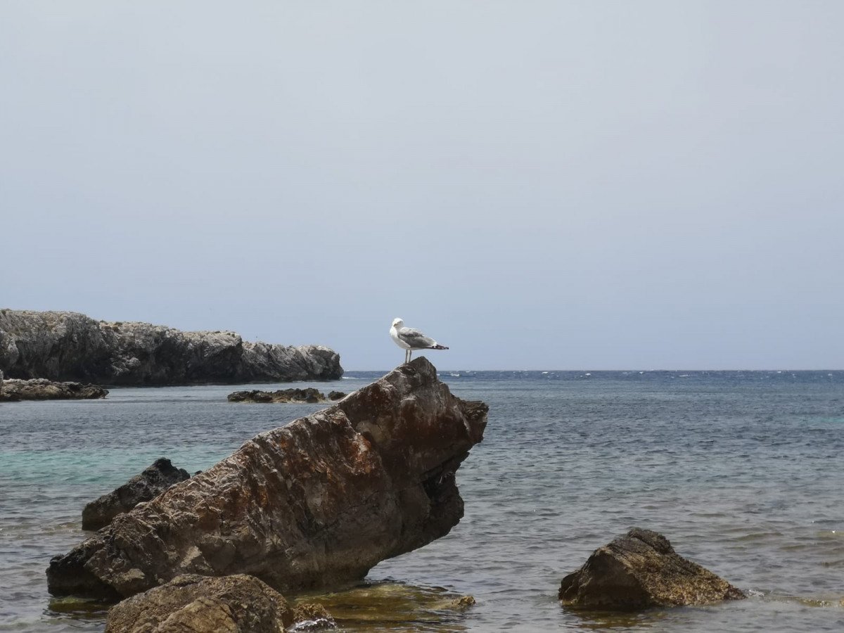 Vela nel Mar Ionio: Avventura Siciliana