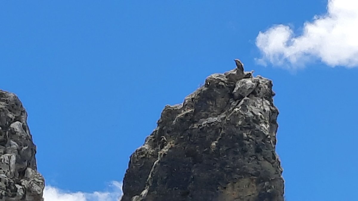 Pratiche di navigazione a Guadalajara