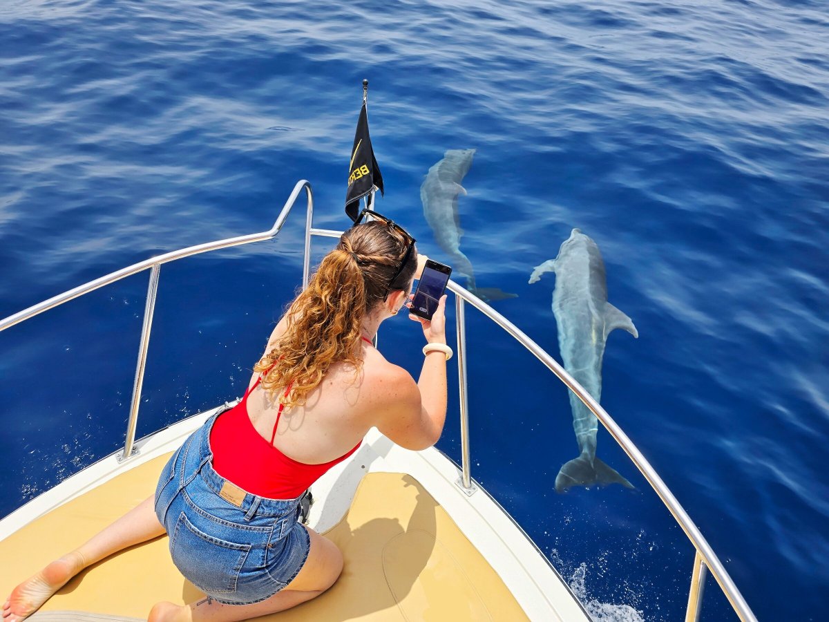 Fai un viaggio in barca per vedere balene e delfini