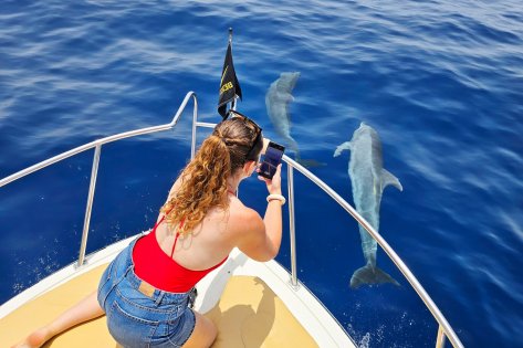 Excursión Avistamiento de Cetáceos 4h en Tenerife Sur