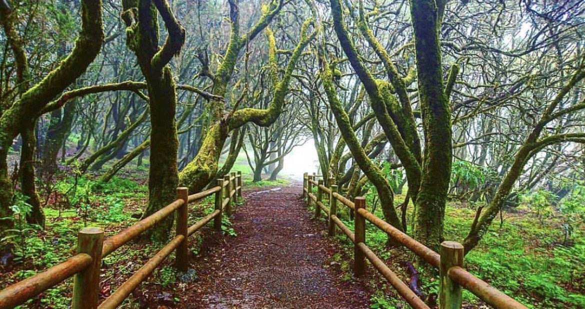 Vuelta al mundo en una aventura en goleta clásica