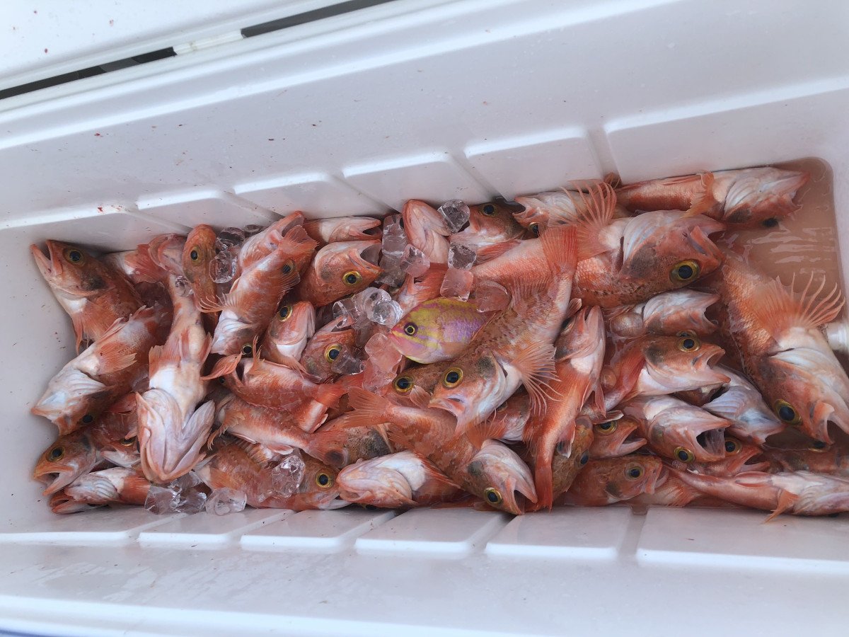 Boat tour in La Manga