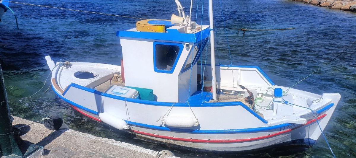 Excursión en barco desde Mykonos