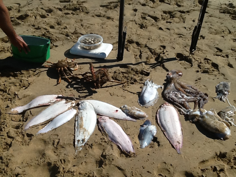 travel by boat el rompido 