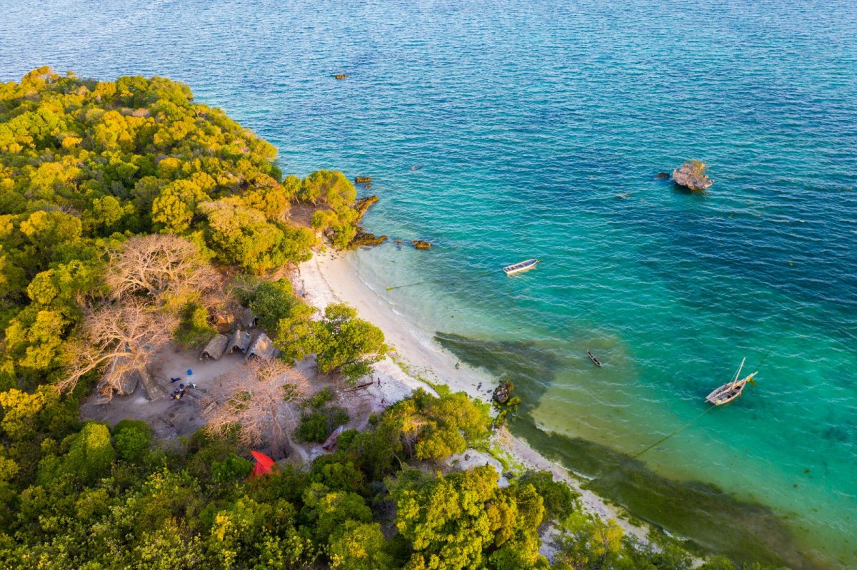 Explore the Natural Wonders of Zanzibar and Pemba on a Catamaran Cruise