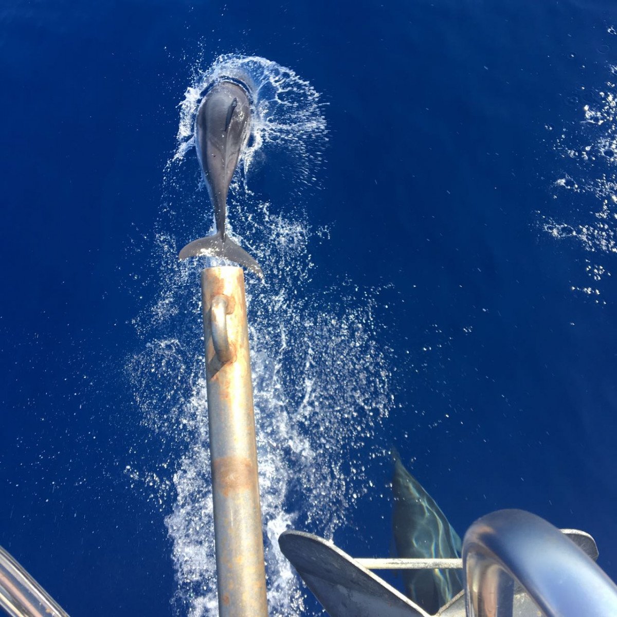 Sailing to Northern Corsica