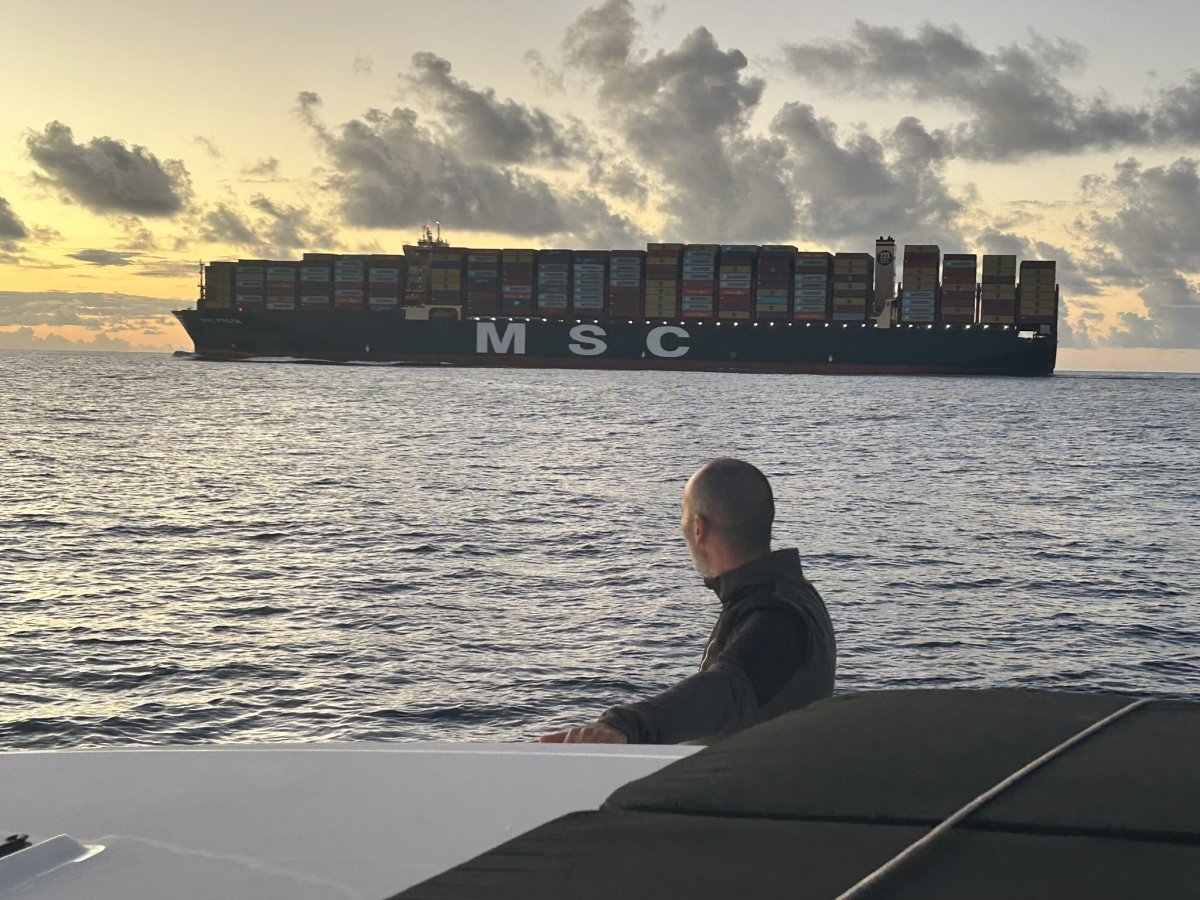 Goditi la bellezza naturale durante il tuo viaggio in barca.