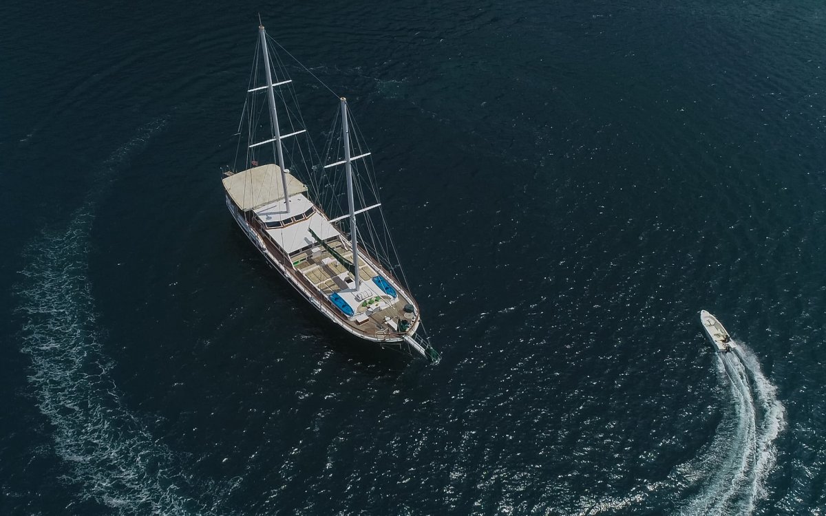 Disfrute de la vista de la costa montañesa y rocosa de Montenegro