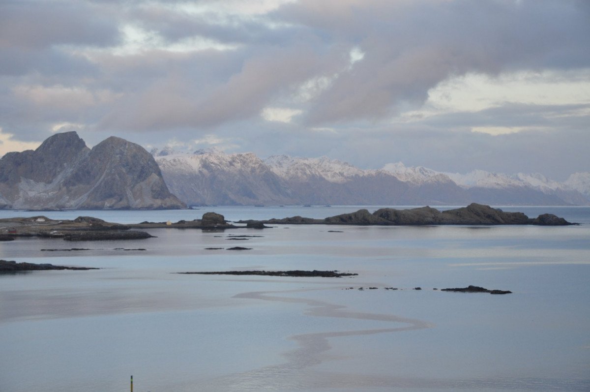 Crociere nell'Artico: Bodo a Lofoten e Islanda